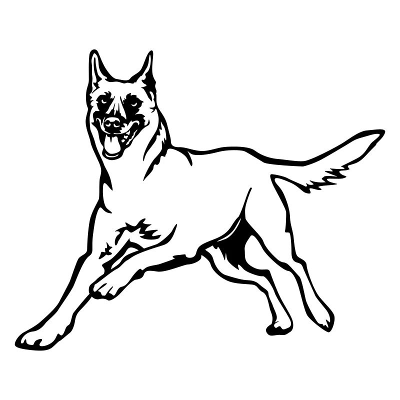 Malinois