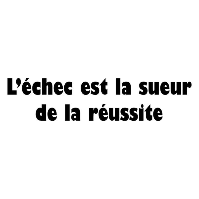 Echec Réussite