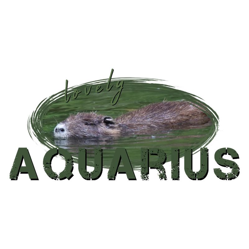 Wassermann Sternzeichen Wassermann Aquarius