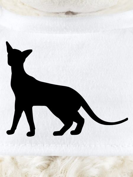 Siam Katze