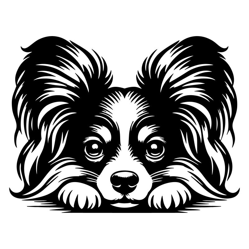 Tête de papillon avec pattes