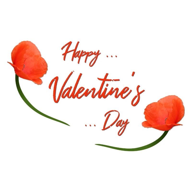 Coquelicot de la Saint-Valentin