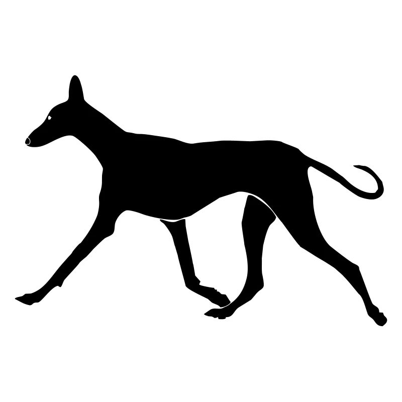 Laufender Podenco