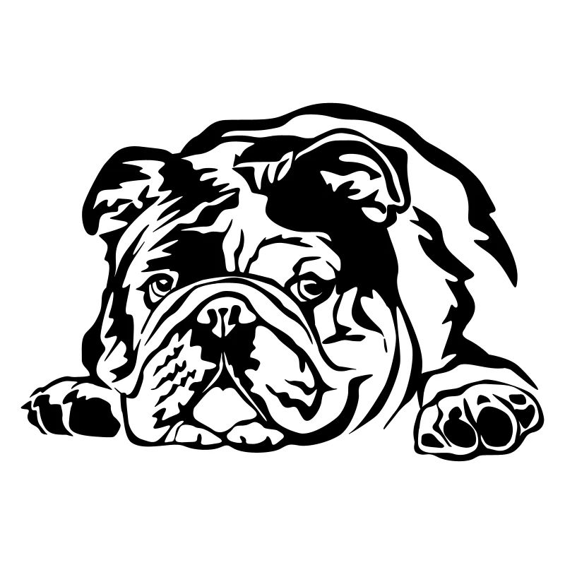 Bouledogue anglaise