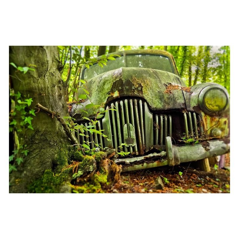 Waldverfall: Rostige Autoüberreste