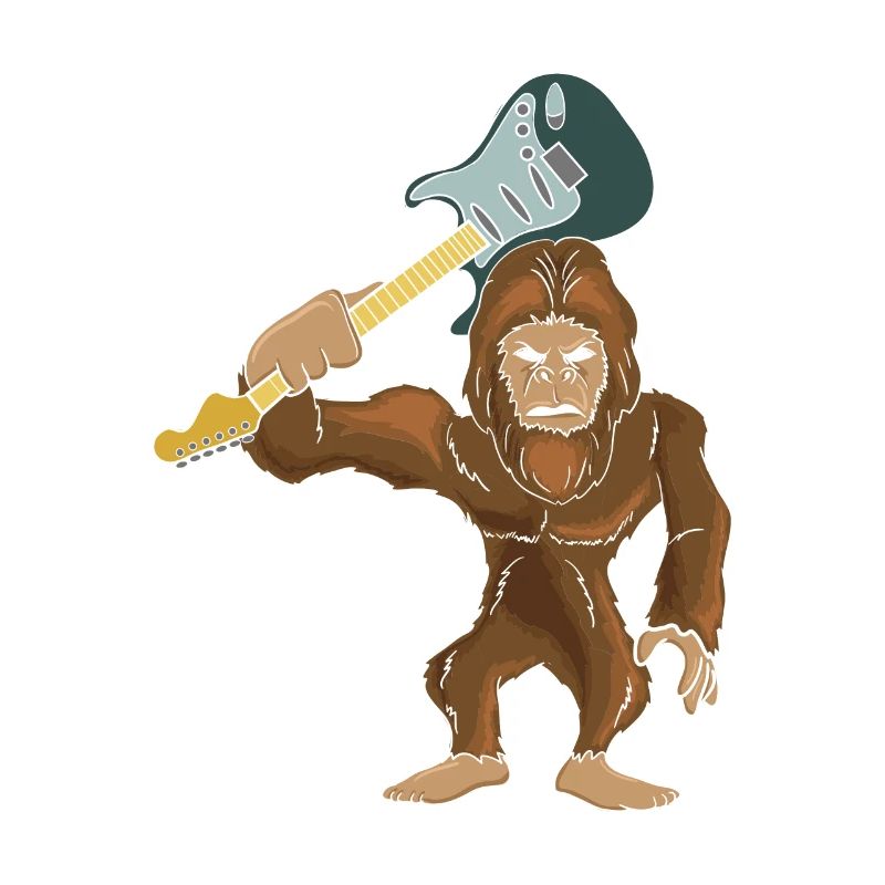 guitariste