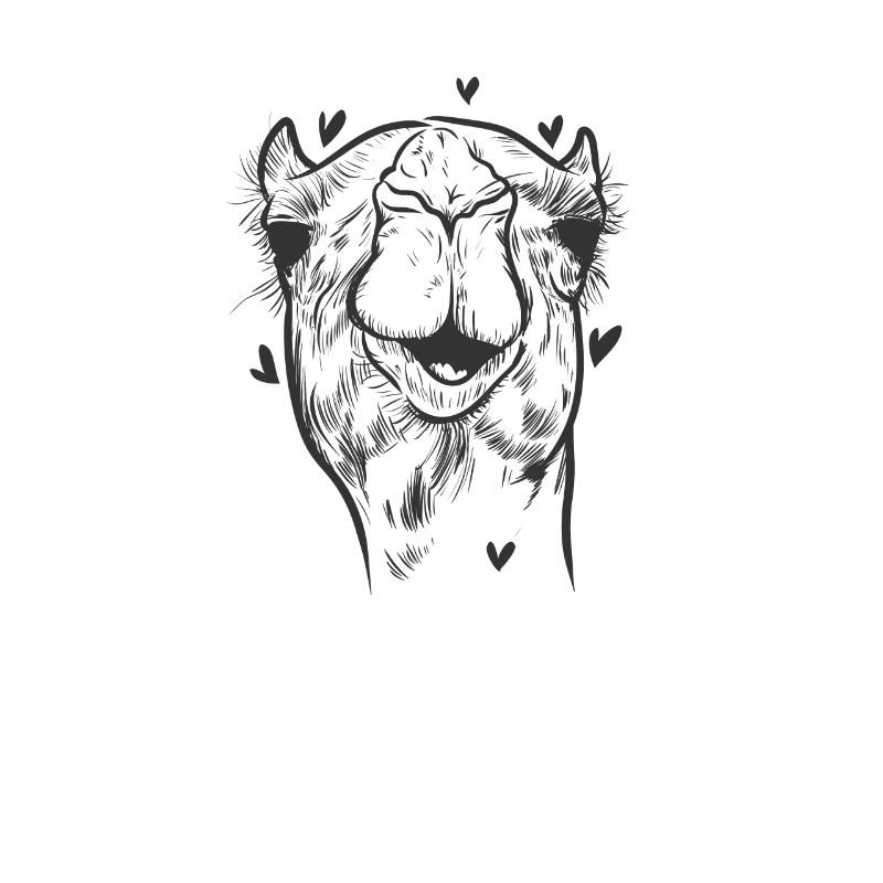 Kamel Höcker Savanne Wüste Dromedar