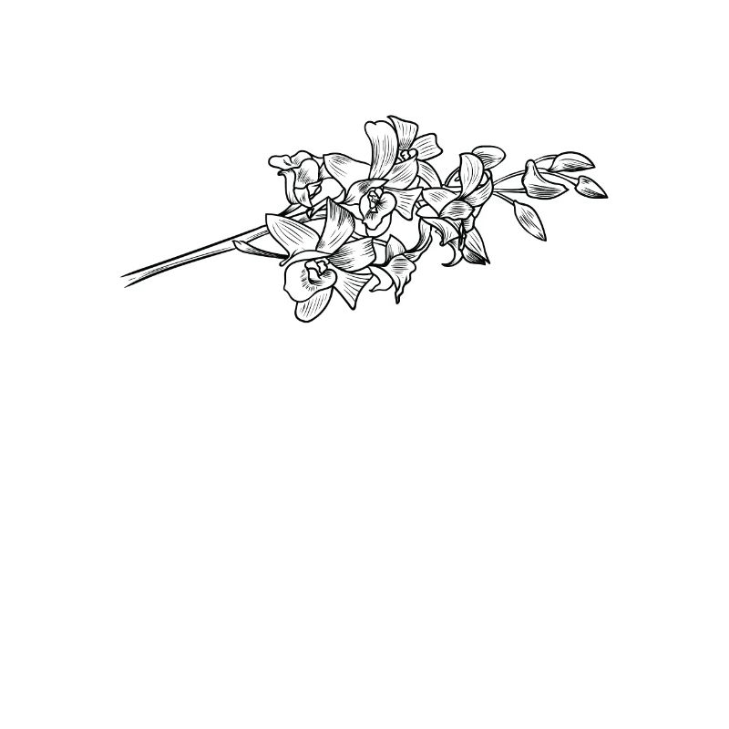 Fleur d’orchidée fleur parfum