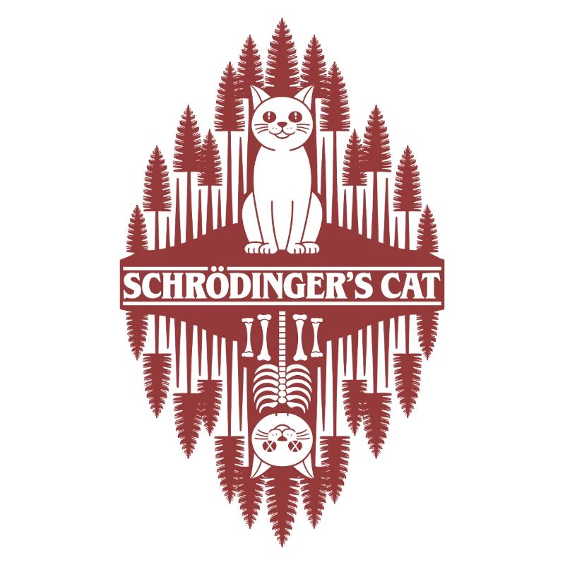 Le chat de Schroedinger : une chose étrange