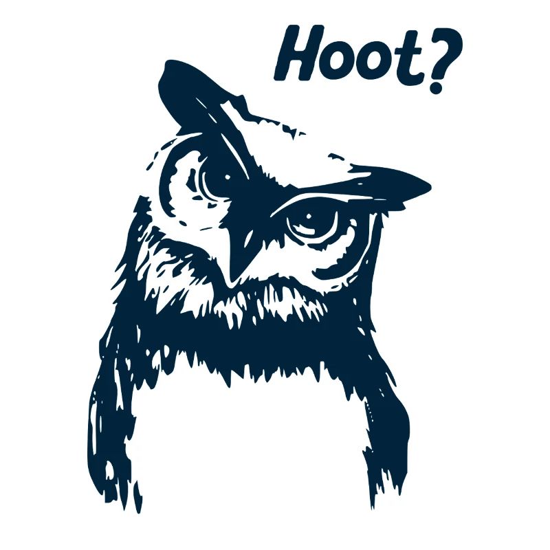 Hoot Eule