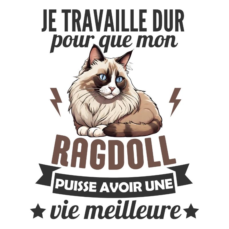 chat ragdoll