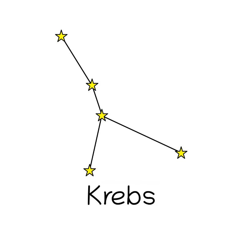 Sternzeichen Krebs