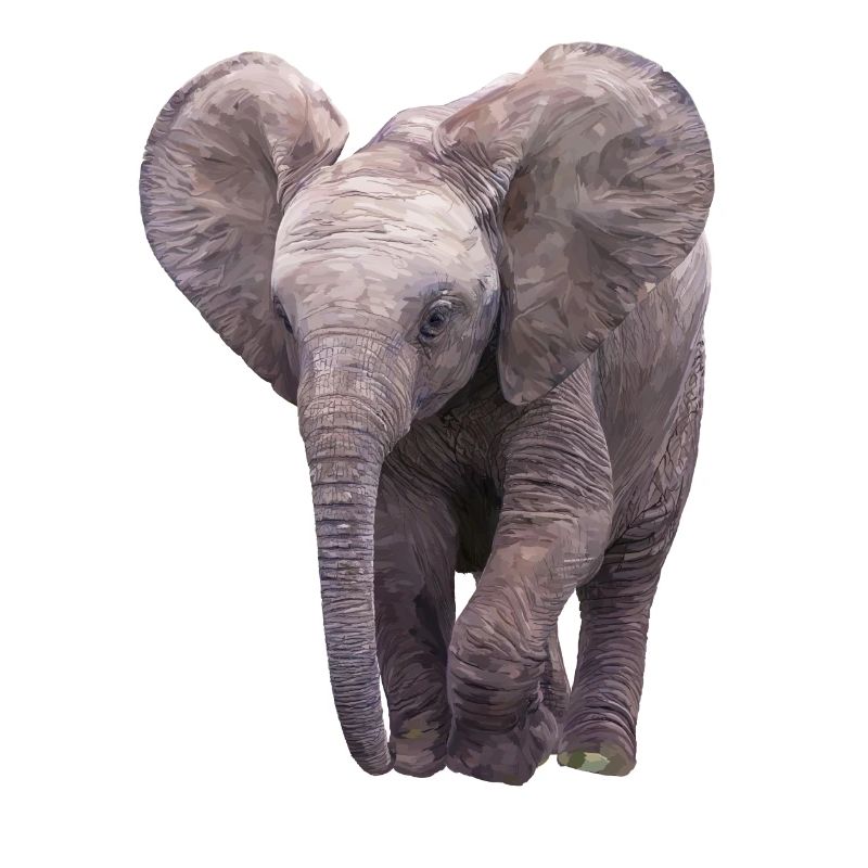 Elefäntchen