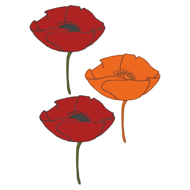 coquelicots et orange