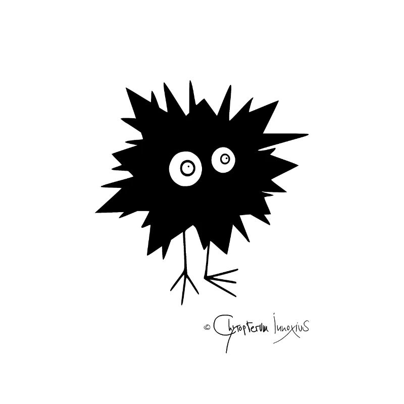 Woolly Beastie flashed © Chyropterum Innoxius
