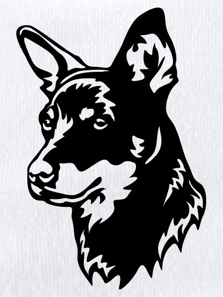 Lancashire Heeler Head