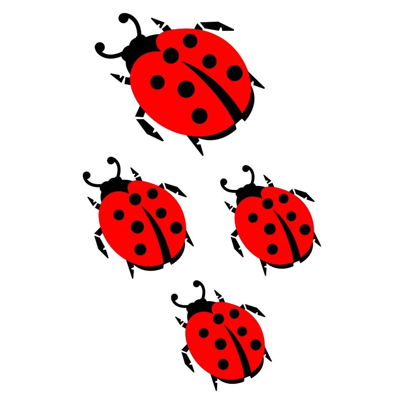 ladybug marienkaefer