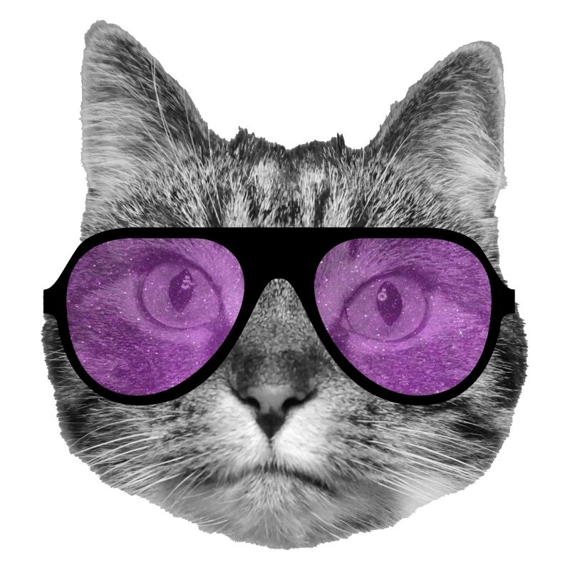 Chat portant des lunettes de soleil roses cool