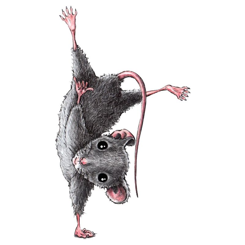 Souris
