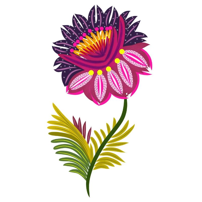 Belles fleurs isolées