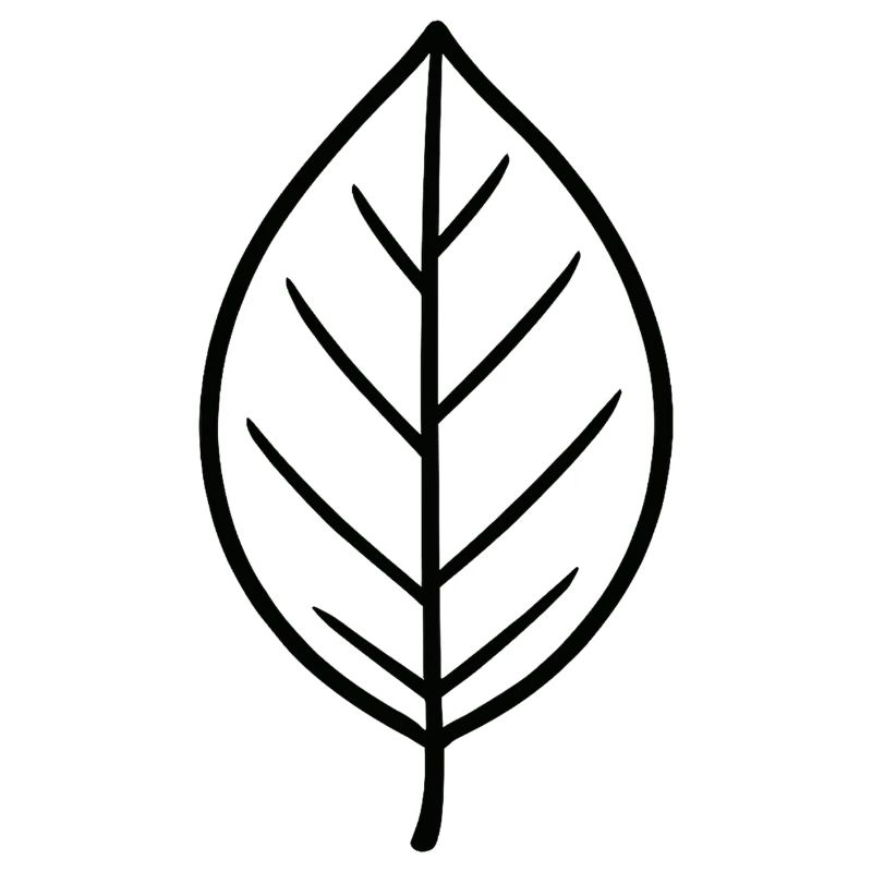 Conception minimaliste Leaf
