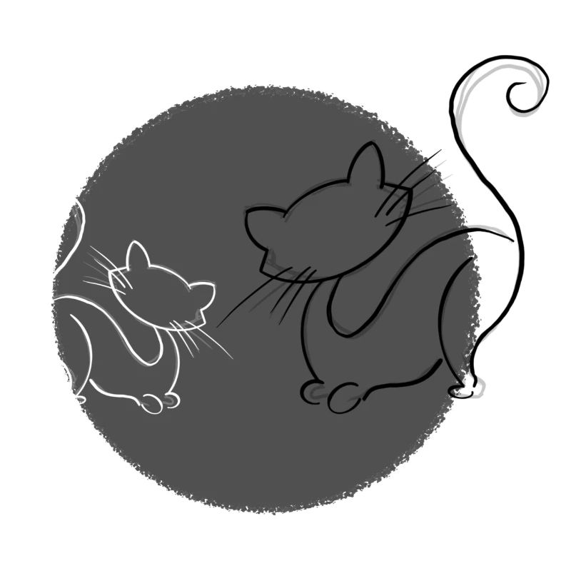 Chats Gris