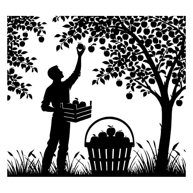 charming garden silhouette man picking apples