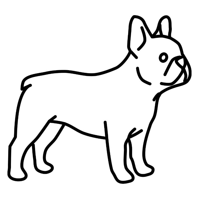 Bouledogue français