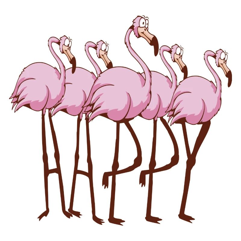 Flamingos