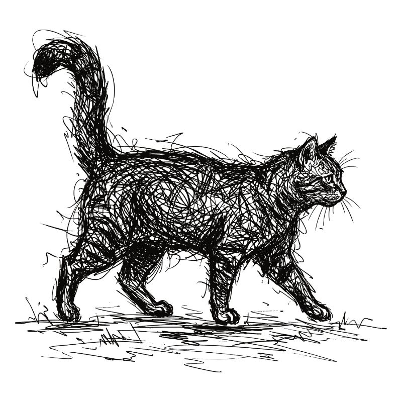 Cat Sketch – Minimalist Cat Design