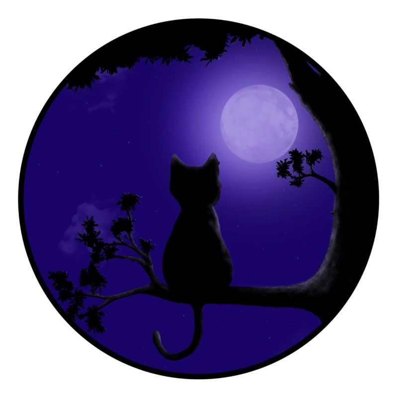 Cat Moon