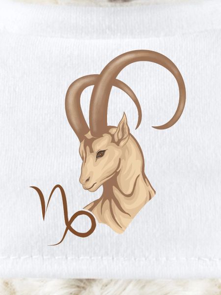 Sternzeichen Steinbock