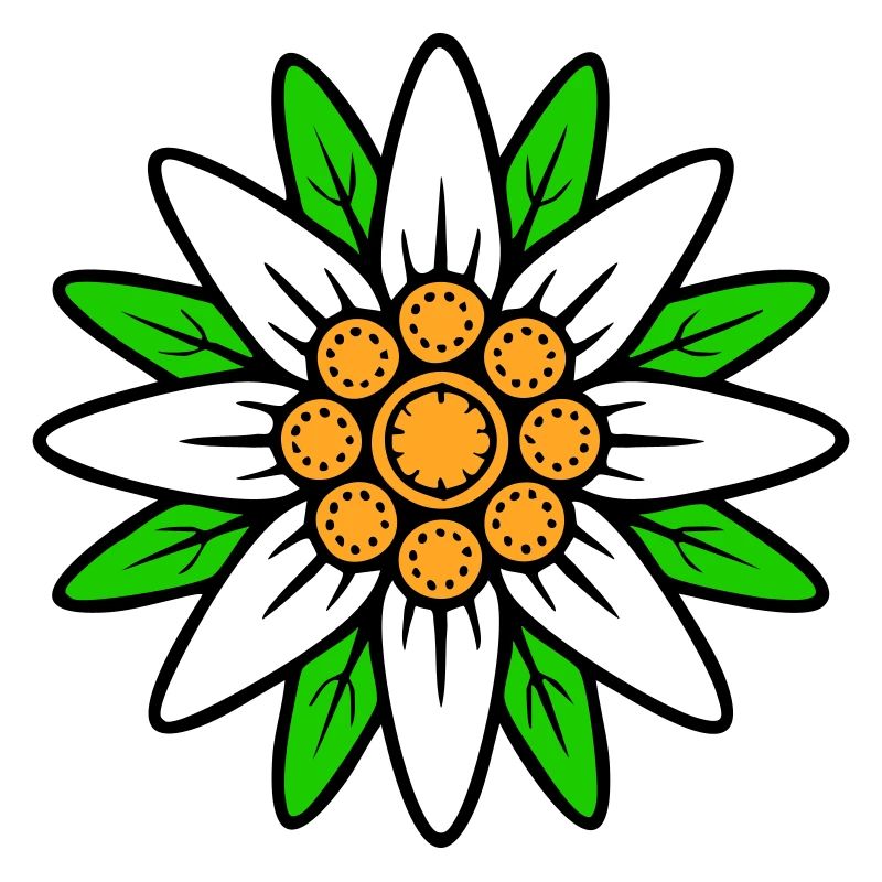Edelweiss