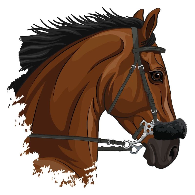 Der Kopf eines braunen Pferdes mit einem Hackamore