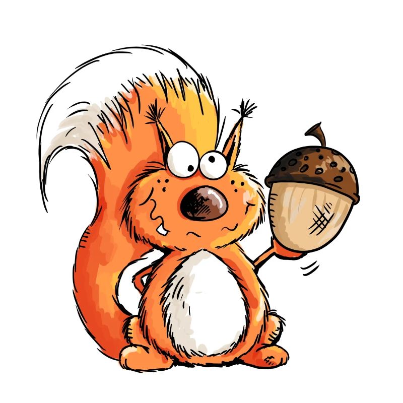 Eichhörnchen - Tier - Tiere - Eichel - Wald