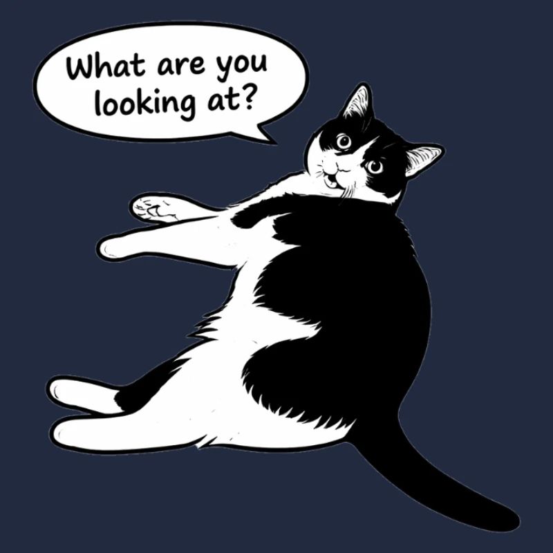 What are you looking at?