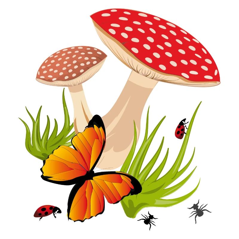 Toadstools, Butterfly
