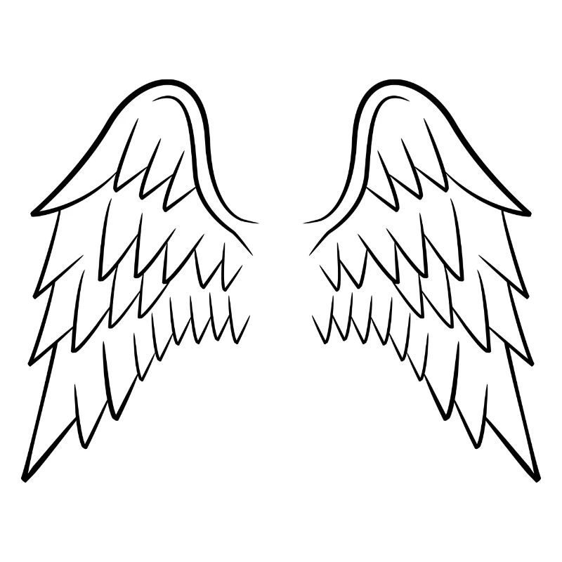 Ailes d'ange ailes