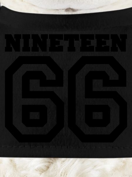 1966