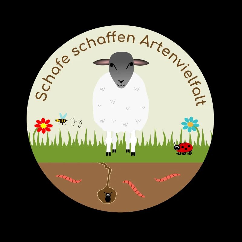 Sheep create biodiversity Rhön sheep