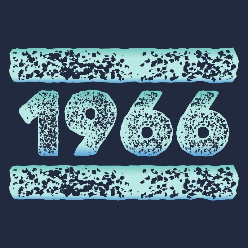 Year 1966