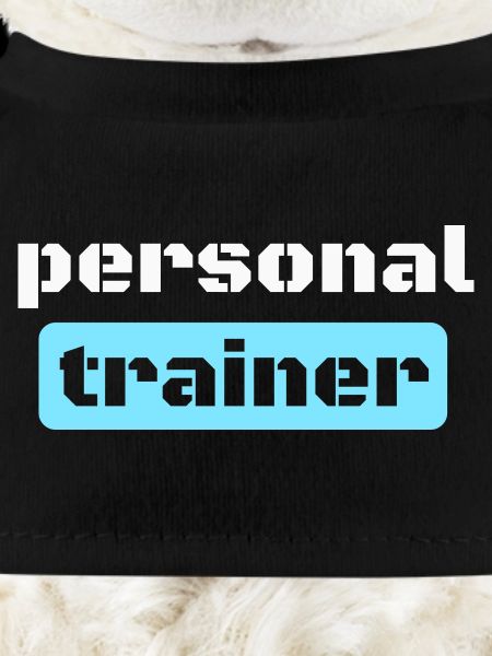 Personal Trainer Fitnesstrainer
