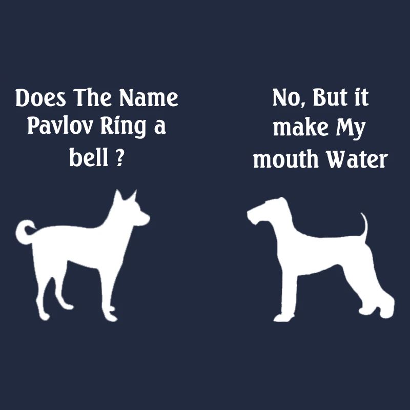 Does The Name Pavlov Ring a Bell Funny Psychology