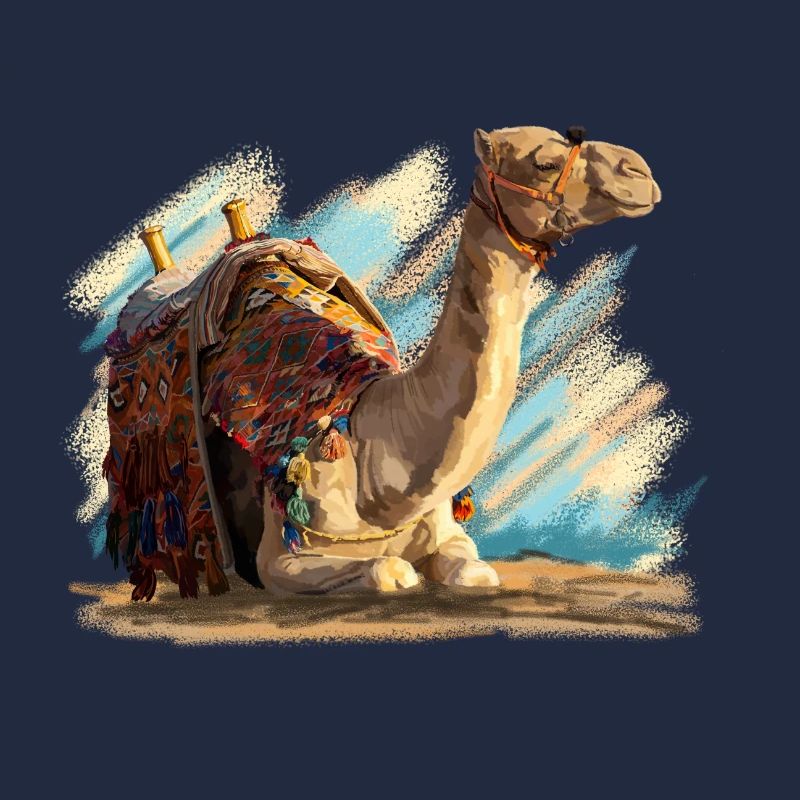 kamel