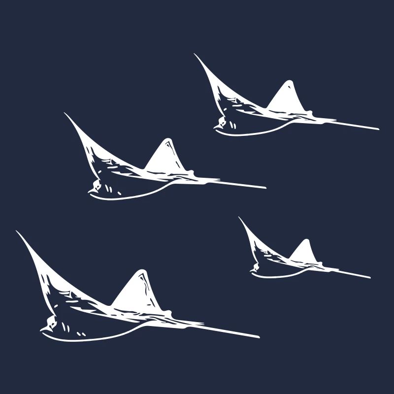Formation de vol Eagle Ray