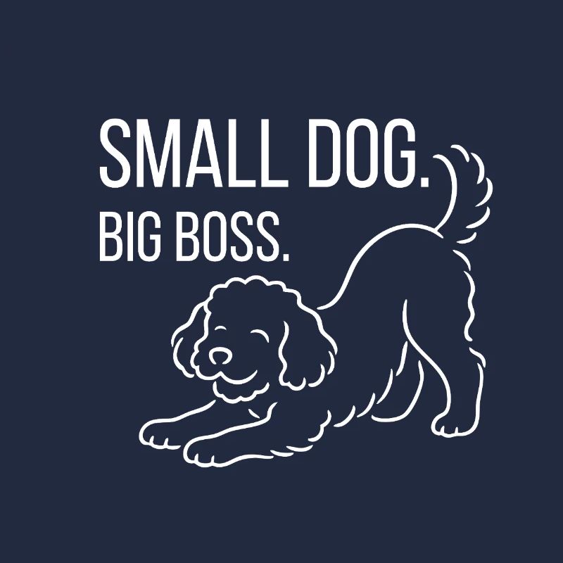 Zwergpudel, Malti-poo oder Königspudel 