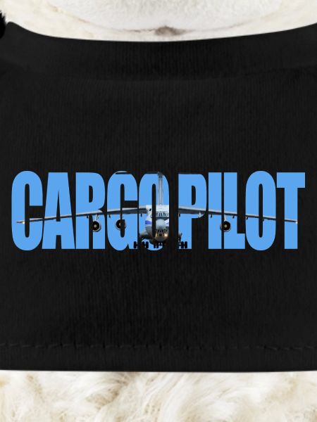 Cargo pilot IL-76