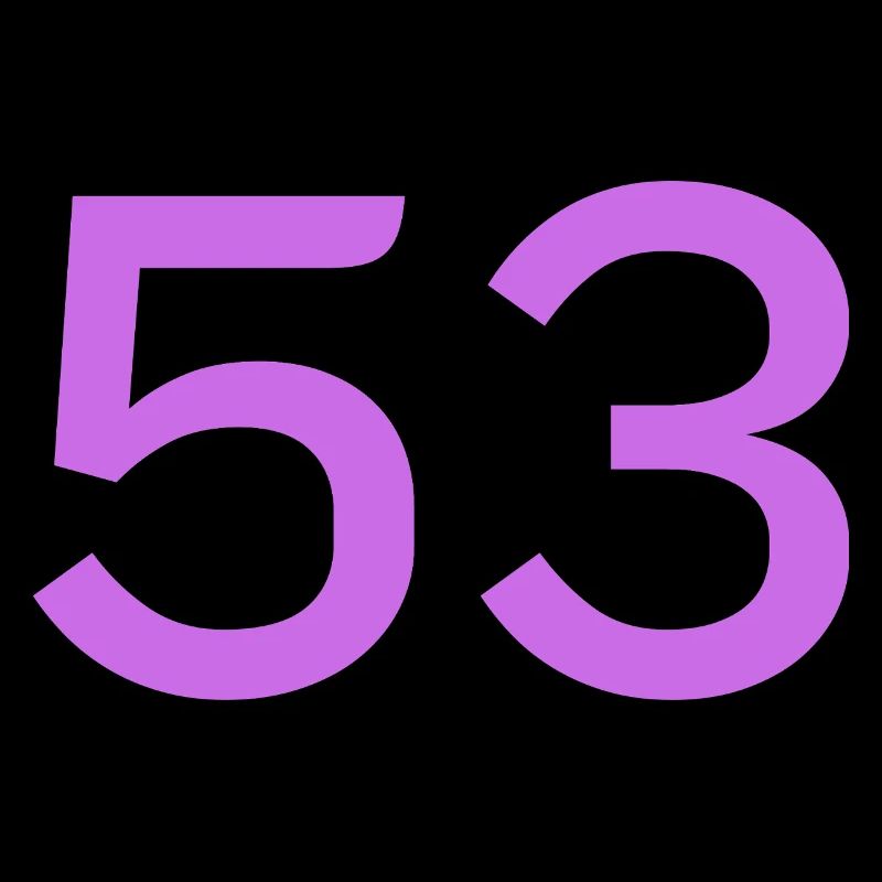 53