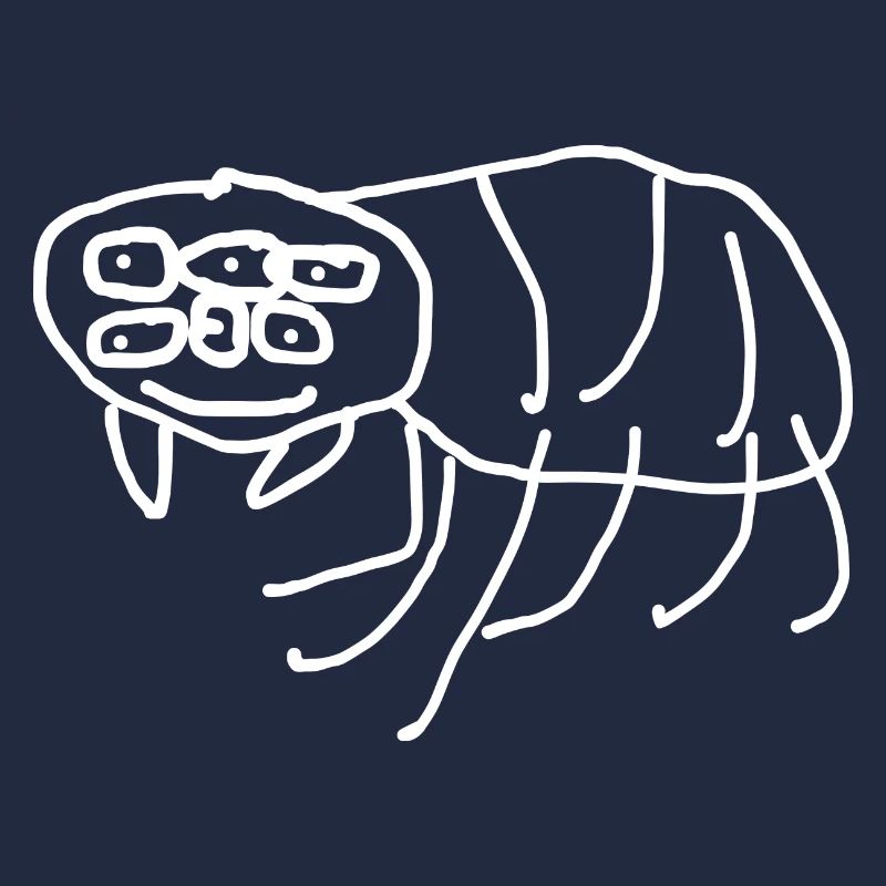 Spider Animal