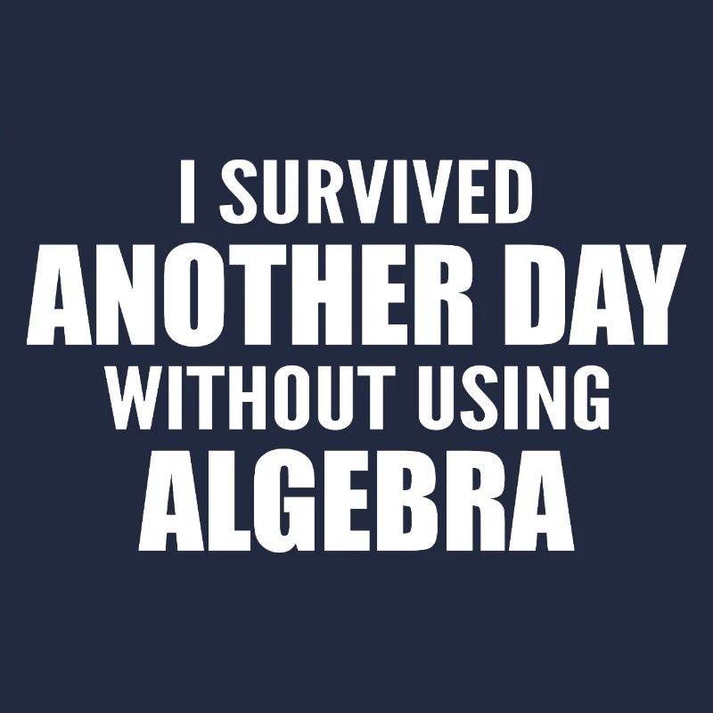 I survived without doing algebra today